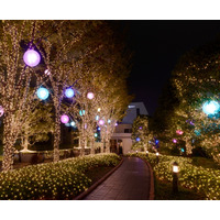 カラフルなイルミが新宿の街を包む！ 11月11日から 画像