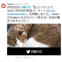 2月22日は「猫の日」……Amazonがショップ開設、Vineは特設コーナー 画像