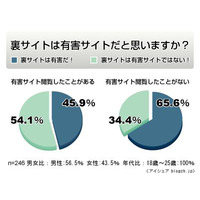 「裏サイト」閲覧者の半数以上が「有害サイトではない」と認識 画像