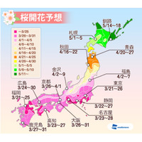 来週より桜が開花……Yahoo!地図アプリ、桜アイコンを表示開始 画像