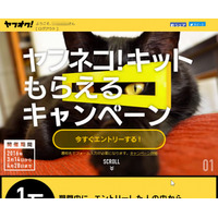 Yahoo!×ヤマト運輸「ヤフネコ!パック」、ファミリーマートからも発送可能に 画像