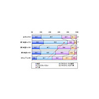 新社会人の7割が現在の仕事に満足、「冒険はしたいが失敗は怖い」というジレンマも 画像