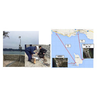 瀬戸内海のウサギ島、観光客対応でWi-Fiエリア拡充へ 画像
