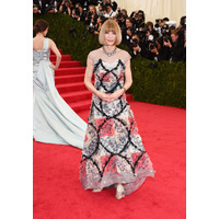 エレガントなプリンセスドレスは永遠の憧れ【2014MET BALL】 画像