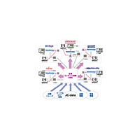 メディアキャスト、「ケーブルテレビショー2008」でCMSを使ったコンテンツ広域連携実験を実施 画像