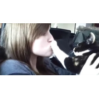 【動画】キスはお断り！飼い主のキスを拒む犬猫 画像