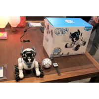 一芸もOK!? スマホと連携できる子犬型ロボット「MeetCHiP」 画像