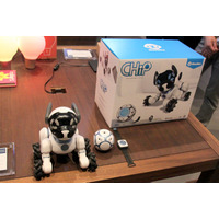 一芸もOK!? スマホと連携できる子犬型ロボット「MeetCHiP」 画像