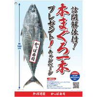 かっぱ寿司、本マグロ1本まるごと当たるキャンペーン 画像