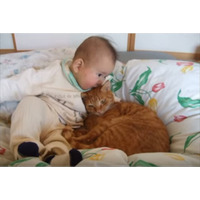 【動画】仲良く寄り添う赤ちゃんと猫 画像