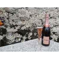 「お花見 CHANDON 目黒川」今年も開催 画像