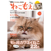 SNSで人気のねこ達がムックに！『ねこもえ』発売 画像