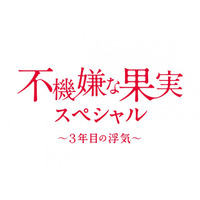 栗山千明、不倫再び！「不機嫌な果実」スペシャル1月に 画像