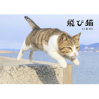 『飛び猫』写真展が開催！「春の飛び猫写真展　全国巡回」栃木・福島・京都の3都市で！ 画像