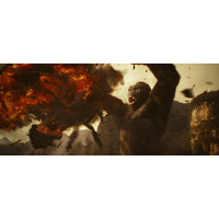 本日公開『キングコング：髑髏島の巨神』、6分超えの特別映像が公開に 画像