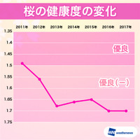 日本の桜が危ない？！健康度は昨年に続き過去最悪を継続 画像