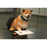 「柴犬まる」が宣伝部長に！アドビが「戌年」をPRする年賀状キャンペーン 画像