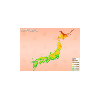 今年の見ごろは!?〜「ウェザーニュース」が紅葉情報 画像