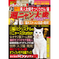 猫川クリステル、アイドル猫袋とじ…… 『週ニャン大衆』発売に 画像