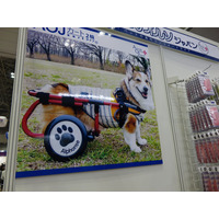 【Interpets（インターペット） 2018】アニマルオルソジャパン、犬用車いす「AOJカート」をアピール 画像