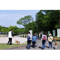 【ワンコとお出かけ Vol.13】ドッグランデビューで、「58ロハスマルシェ」に行ってきた 画像