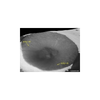 「月に水氷なし」〜月周回衛星「かぐや」、搭載地形カメラの成果を米科学誌で発表 画像