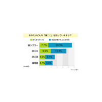 あなたが欲しい“萌えグッズ”“痛グッズ”は!?〜アイシェア調べ 画像