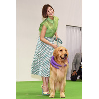 【Interpets（インターペット） 2019  Vol.2】伊藤千晃、美しさの秘訣は愛犬にあり！「一緒に美容を楽しんでいます」 画像