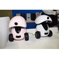 【Interpets（インターペット） 2019 Vol.5】ペット相手の遠隔操作ロボットが展示中！内蔵マイクで呼びかけも 画像