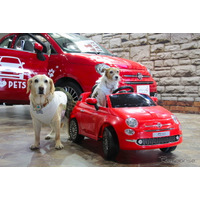 【青山尚暉のわんダフルカーライフ】インターペット2019、愛犬との暮らしに欠かせない自動車メーカーのブース 画像