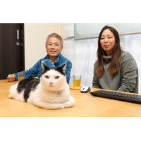 【ペットと出勤できる会社】“猫とともに働く”IT企業「ファーレイ」 画像