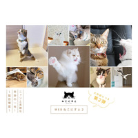 今度のテーマは“奇跡の一枚”！ねこ写真展「ねこにすと」ウェブ版、第2弾が開催中 画像