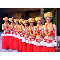 親子2代のフラガールも！　スパリゾートハワイアンズで新人8名がステージデビュー 画像