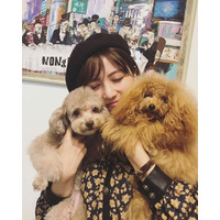石川恋、愛犬抱っこし至福の表情！幸せショットにファンも癒されまくり 画像