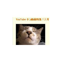 猫好き注目！YouTubeが猫動画特集！ 画像