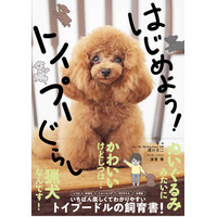 トイプードル飼育書『はじめよう！トイプーぐらし』発売！宇野樹宅の愛犬“トロちゃん”が表紙 画像