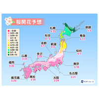 桜開花トップは東京で3月18日予想！全国的に平年より早い傾向......ウェザーニューズ「第二回桜開花予想」 画像