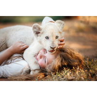 赤ちゃんライオンの可愛すぎる映像が公開に！映画『ミアとホワイトライオン』 画像