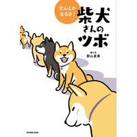 4月8日は柴の日！人気の『柴犬さんのツボ』シリーズ最新刊発売 画像