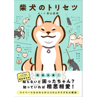 柴犬のカラダとココロをオール図解！『柴犬のトリセツ』発売決定 画像