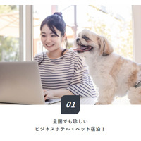 ビジネスホテルで愛犬と一緒に宿泊できるリーズナブルなプランが登場！ 画像