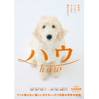 犬と人の絆描いた「ハウ」小説・映画で作品化！監督は犬童一心、原作は斉藤ひろし 画像