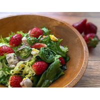 ブロンコビリー、新鮮な春野菜をたっぷり使った「サラダバー」9日から 画像