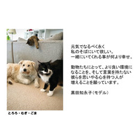 パナソニック、「保護犬猫譲渡会」開催！来場時にステッカーがもらえるSNSキャンペーンも 画像