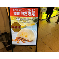 【東京駅 グランスタ東京】レモンショップ by FRANCAISが期間限定出店！「＜生＞レモンケーキ」販売 画像