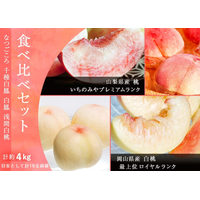 「4大産地の桃食べ比べセット」発売！「桃サミット2022」でプロのカッティングやレシピを学ぼう 画像
