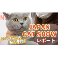 【JAPAN CAT SHOW 2022】200頭以上が集結！「キャットショーエキシビジョン」で1位となった猫は？ 画像