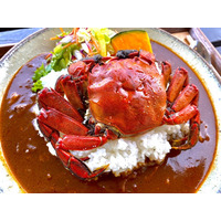 伊豆名物・ズガニグルメが今年も！出汁の効いた2種の濃厚カレーメニュー登場 画像