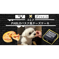 愛犬と味わう、コミフ× PABLOのコラボチーズケーキ登場 画像