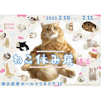 猫の祭典「ねこ休み展」が2年ぶりに横浜上陸！ 画像